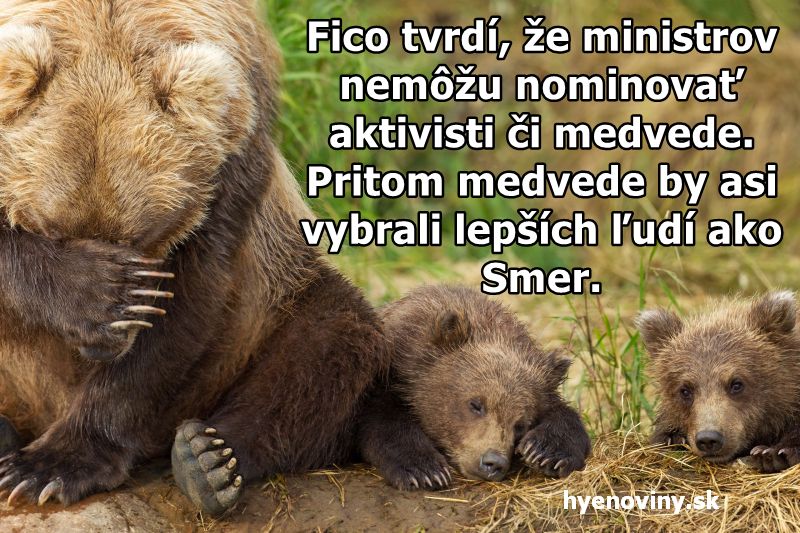 Fico tvrdí, že ministrov nemôžu nominovať aktivisti či medvede. Pritom medvede by asi vybrali lepších ľudí ako Smer.